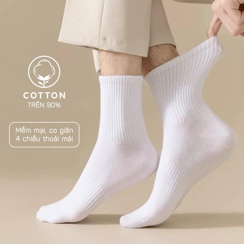 Tất nam nữ bassic dễ phối đồ , tất vớ cotton co dãn bốn chiều thấm hút mô hôi chân - Aguo shop 3