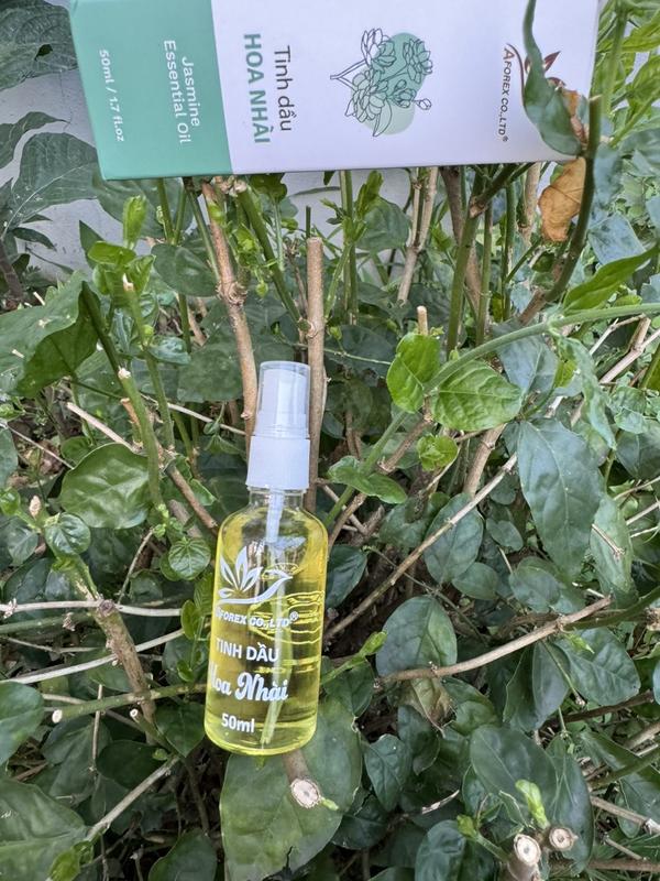 Tinh dầu hoa Nhài 50ml - giảm stress, giúp ngủ sâu,   làm thơm phòng 8