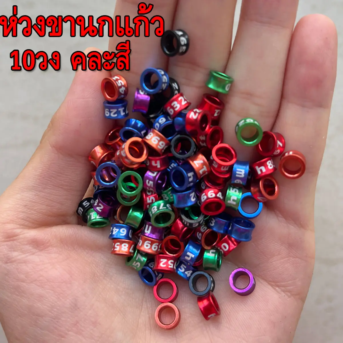 ห่วงขานกแก้ว ทำจากอลูมิเนียม น้ำหนักเบา ขนาด 3-8 มม. 10วง/แพ็ค คละสี พร้อมส่งในไทย