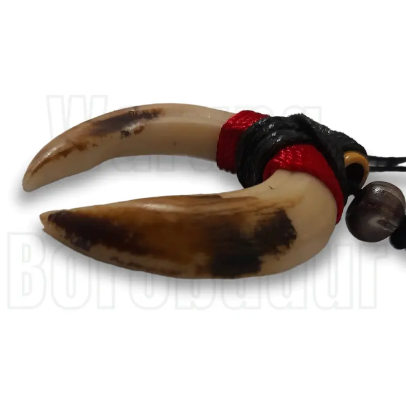 Sepasang Taring Babi Kalung Etnik Taring Babi 5cm Bahan Resin Kalung Tali Liontin Taring 1