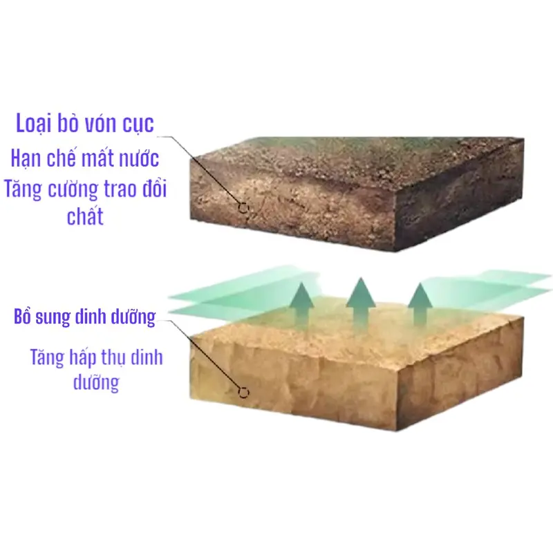 Phân Bón Hoa Giấy, Hữu Cơ, Giúp Thân Cứng Cáp, Tạo Tán, Ra Bông Nhiều, Hoa lên màu đẹp, Lâu Tàn ( bao 750g ) dùng tất cả các loại cây hoa, cây cảnh, cây bonsai 5