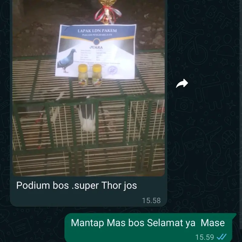 Jamu Merpati Superthor isi 120 butir 1
