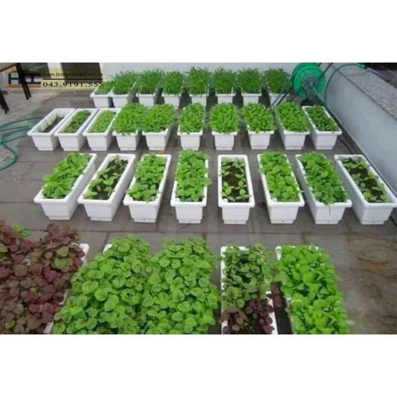  CHẬU TRỒNG RAU TRỒNG HOA CÂY CẢNH CÓ VỈ THOÁT NƯỚC THÔNG MINH 