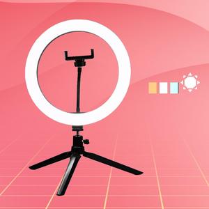 Multipurpose 10 Inch Ring Light, Adjustable LED Ring Light with Foldable Tripod,  Ring Light for Phone Video Recording & Live Streaming, Holiday Essentials, Portable Folding Tripod, Smartphone Accessories tripod light Plastic Cellphone Compact selfie ring