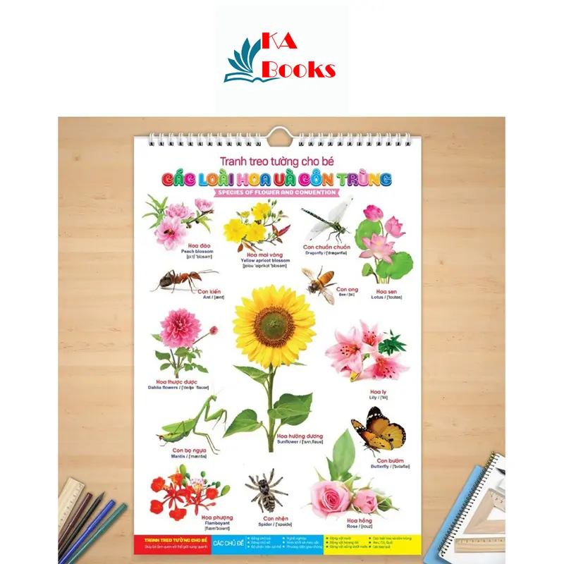 Bộ tranh treo tường song ngữ 6 Tờ 14 chủ đề cho bé Vietnam Picture Books 5