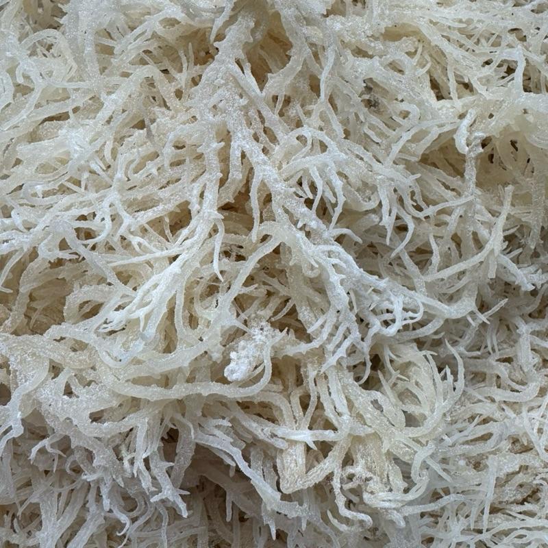 Rong sụn biển trắng dùng làm nước mát với hạt ươi , trộn gỏi , sea moss gel, nấu chè 0