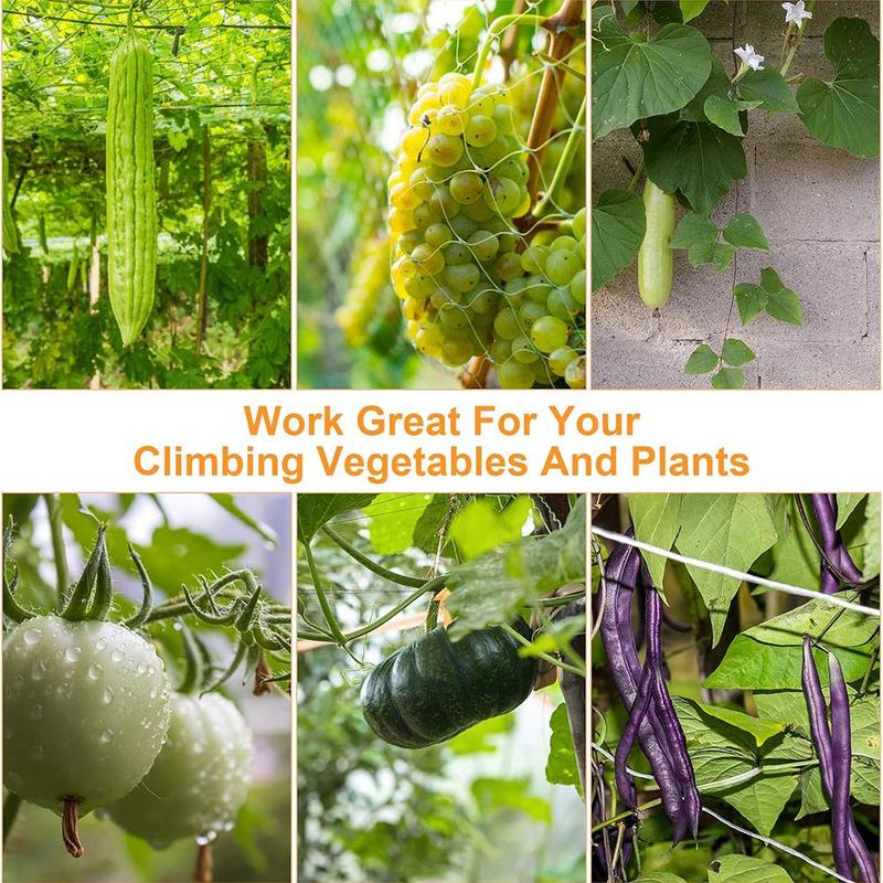 Product Introduction of Plant Climbing Net, 5*15ft Plant Traction Garden Net, Climbing Plant Fruit Vegetable Vine Growing Tent Square Net, Plant Support 2