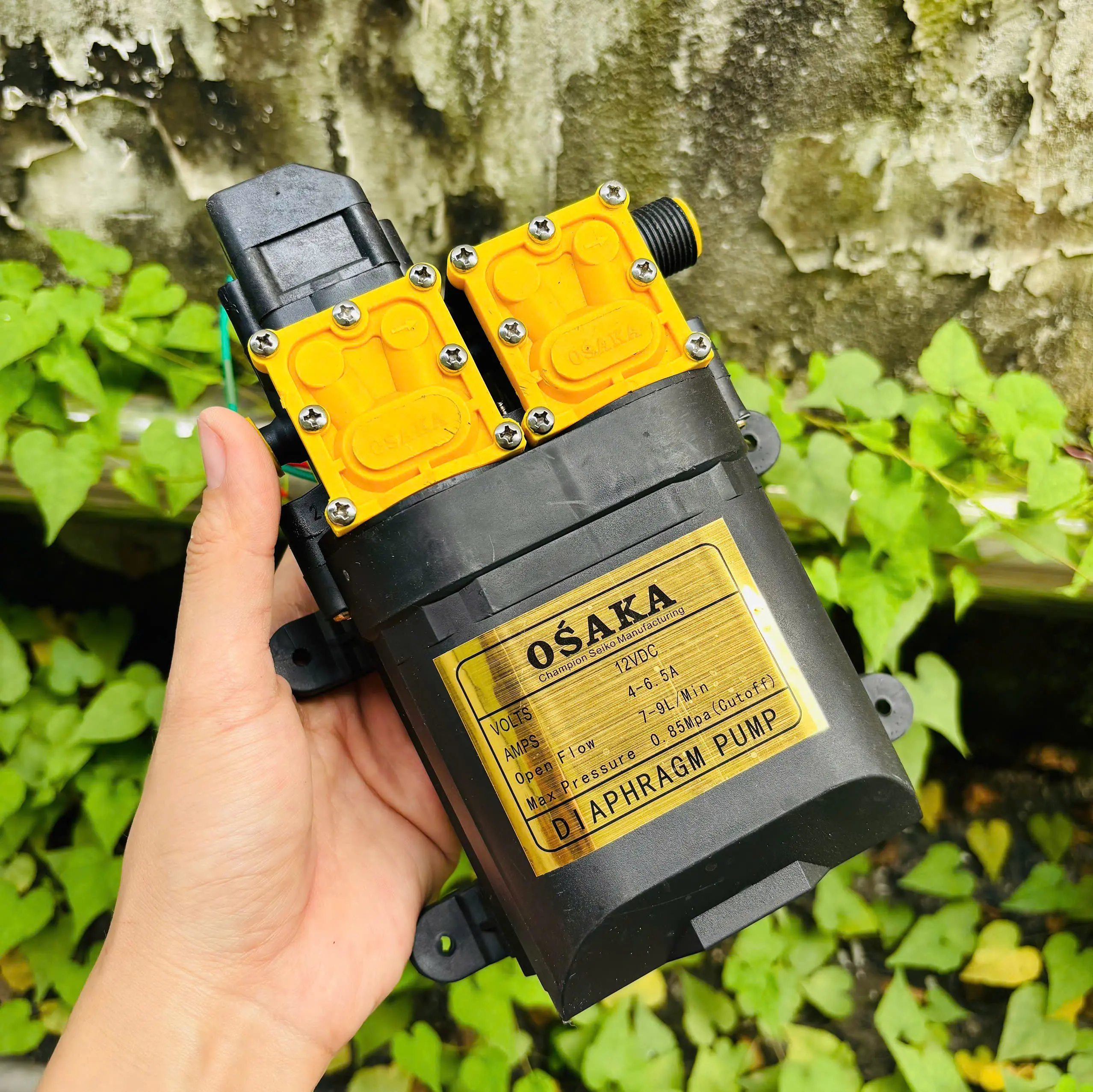 BƠM XỊT ĐÔI PHUN SƯƠNG DC 12V, 4-6.5AH, 7-9LPM, 8.5BAR - SHOPPIN'S