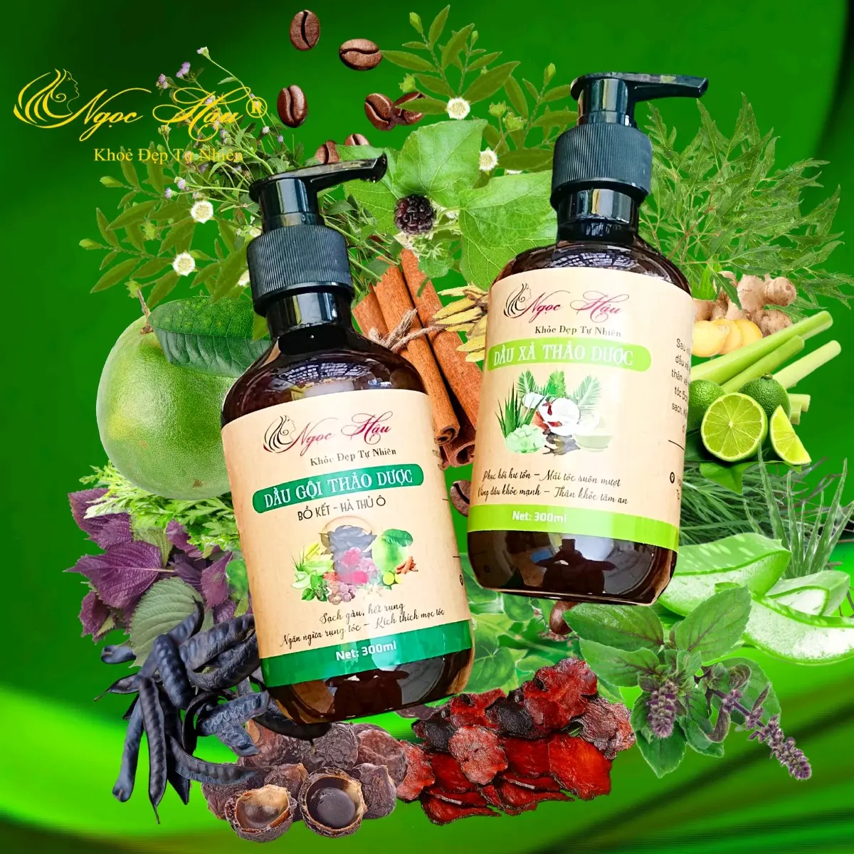Combo dầu gội thảo dược Ngọc Hậu (Cặp gội xả 500ml)