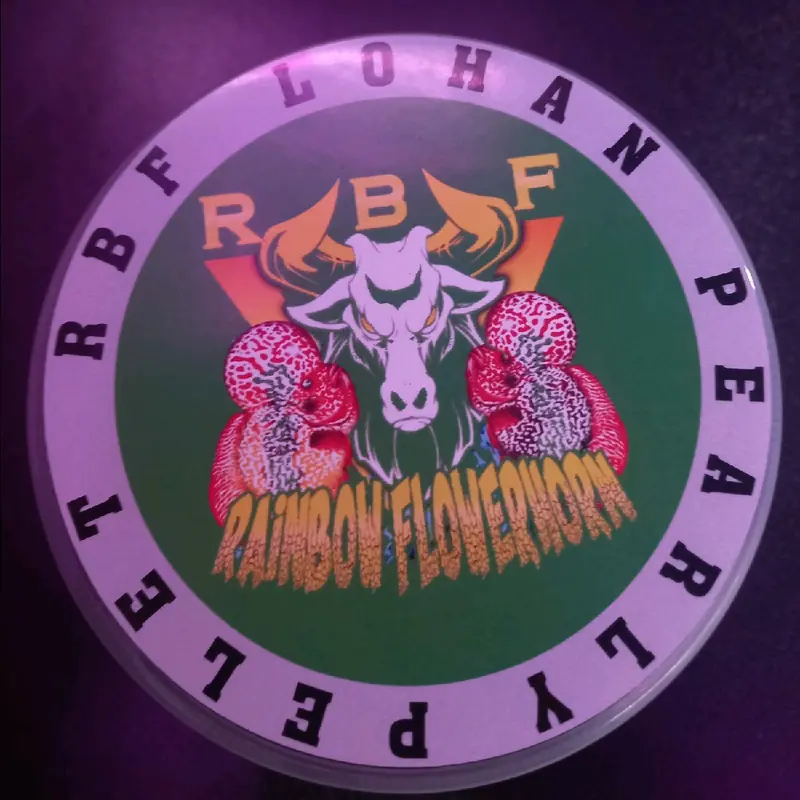 Pelet RBF Louhan Pearly / Mutiara 1