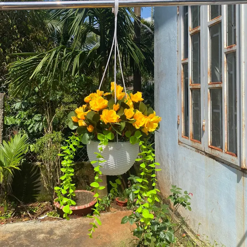 Combo chậu hoa đỗ quyên kèm chậu nhựa tròn cắm sẵn, mix lá rủ trang trí decor… Decor Phòng Trang Trí Nhà, ban công, lan can, quán cà phê, nhiều không gian xinh xắn hoặc phân khúc bình hoa đỗ quyên để bàn kèm chậu nhựa cắm sẵn cao 25-30cm 8
