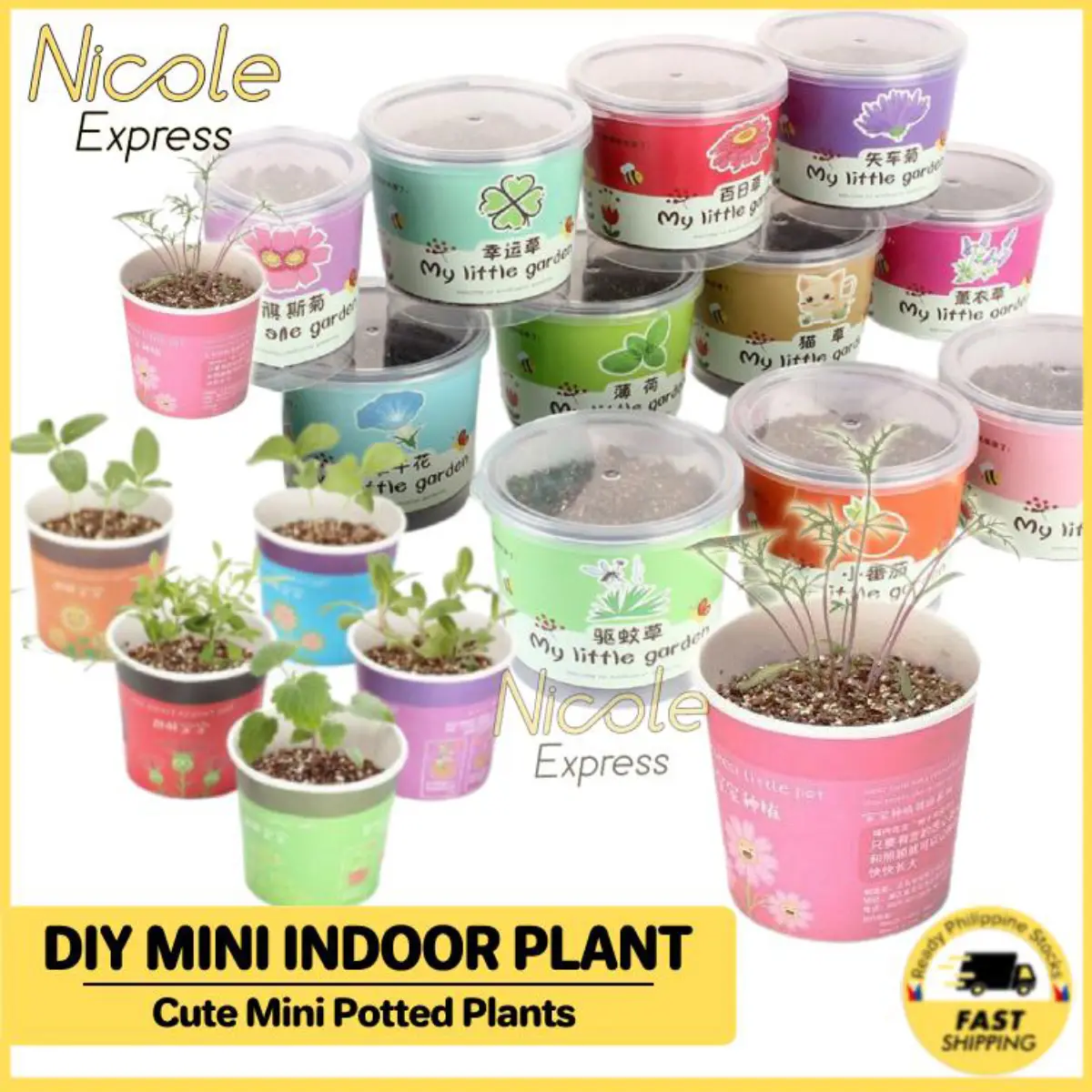 DIY Kit Mini Indoor Plant, Indoor Plant Gardening Kit for Children ...