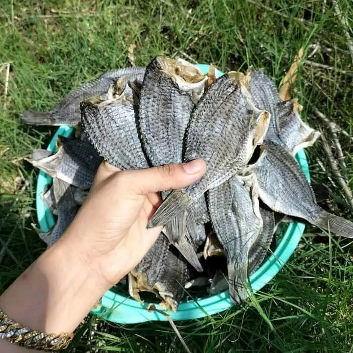 khô cá phi nguyên con Tự nhiên