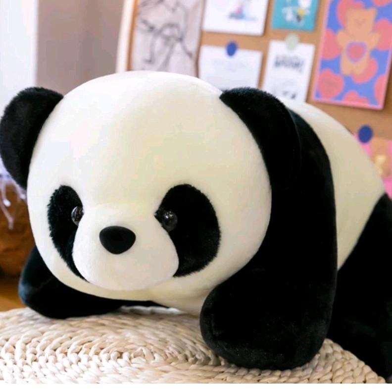 50cm Gấu bông gấu trúc dáng nằm khổ vải 60cm lên form 50cm Thú Nhồi Bông Toy Thú Bông Đồ Chơi