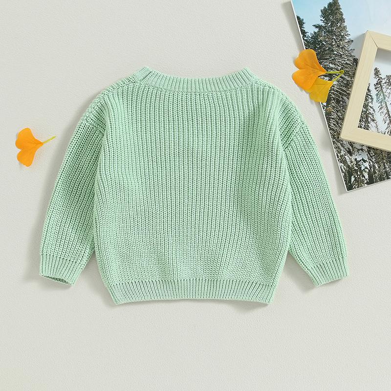 Product Introduction of Baby Girl Sweater, Long Sleeve Crew Neck Flower Winter Warm Knit Pullover Sweater Infant Clothes 53