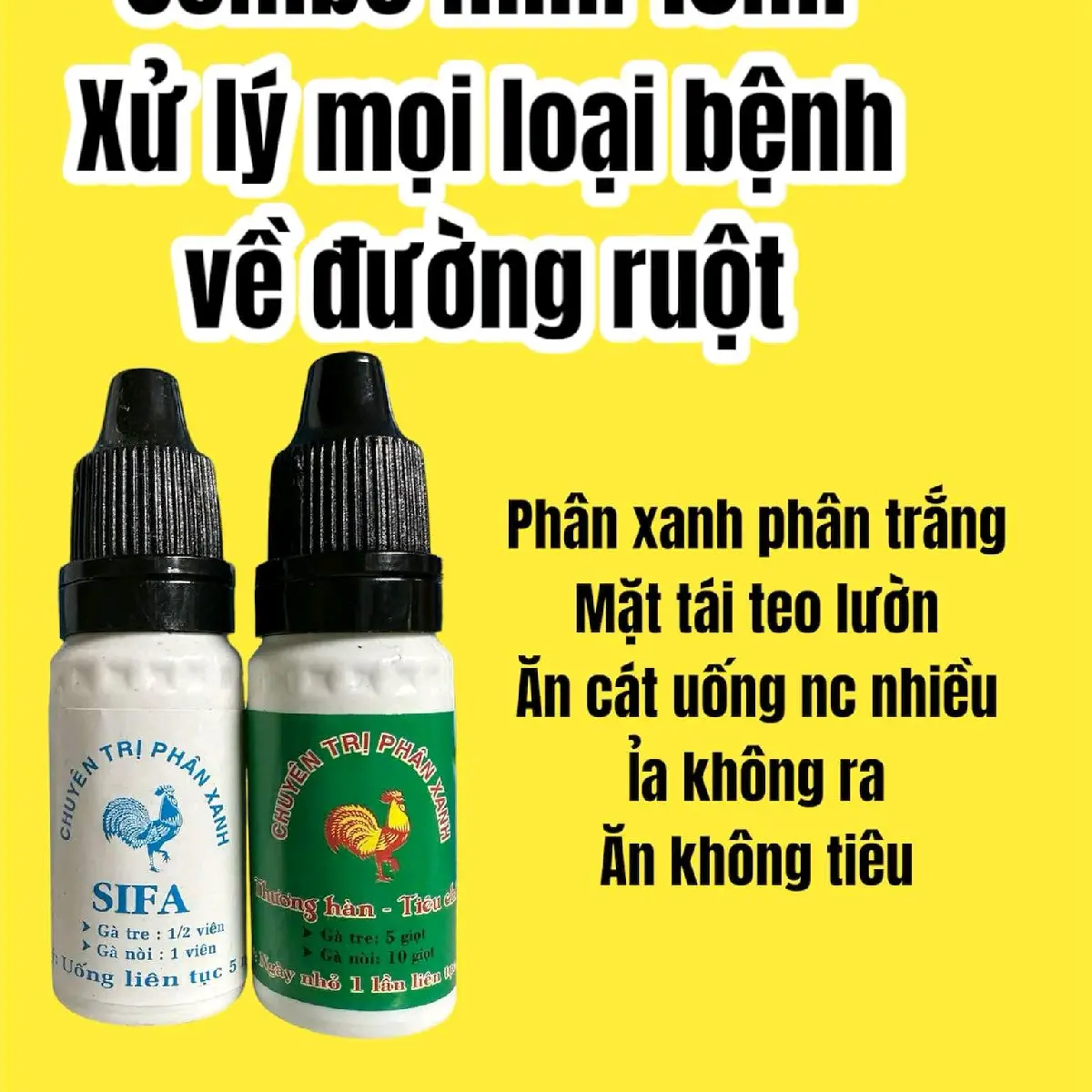 bộ xử lí phân xanh trắng an cát uống nuoc nhiều