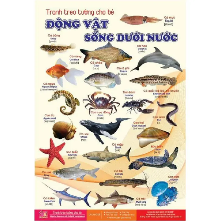BỘ TRANH TREO TƯỜNG VỀ THẾ GIỚI XUNG QUANH 14 CHỦ ĐỀ CHO CÁC BÉ (39K LÀ GIÁ CẢ BỘ GỒM 14 CHỦ ĐỀ) 2