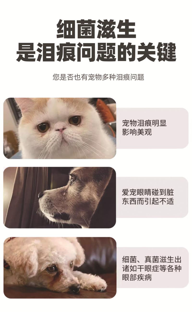 Product Introduction of Pet-Specific Teeth Cleaning Tear Stain Ear Cleaning Finger Cots Wet Wipes Cat Dog Teeth Eyes Paw Care Wet Wipes 4
