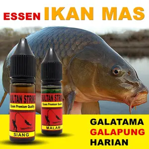 ESSEN OPLOSAN IKAN MAS BABON SULTAN STRIKE PAKET SIANG MALAM UMPAN PANCING LOMBA MEMANCING GALATAMA DAN GALAPUNG
