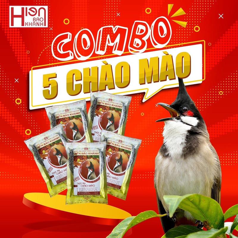 combo 5 gói cám chào mào hiển bảo khánh - Tặng kèm 1 xúc cám inox