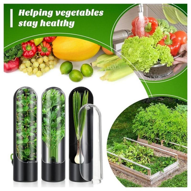 Wadah Tempat Penyimpan Sayur/Herb Storage Tempat Daun Bawang Seledri Kemangi Herb Keeper/Wadah Tempat Penyimpan Sayur/Refrigerator Container Dapur 3