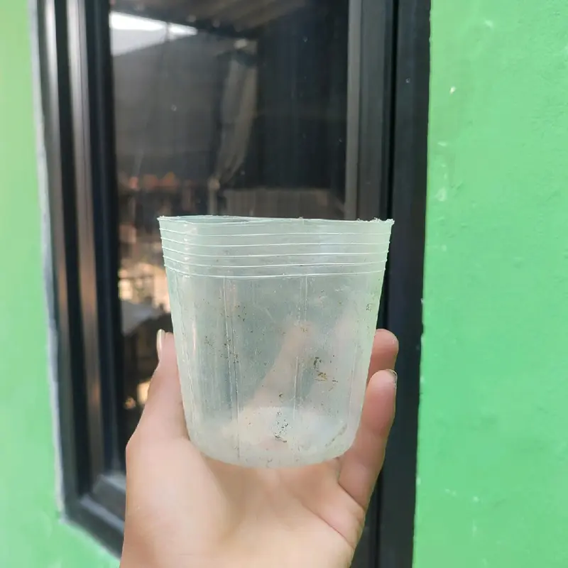 POT BENING POLOS PUTIH MURAH 0