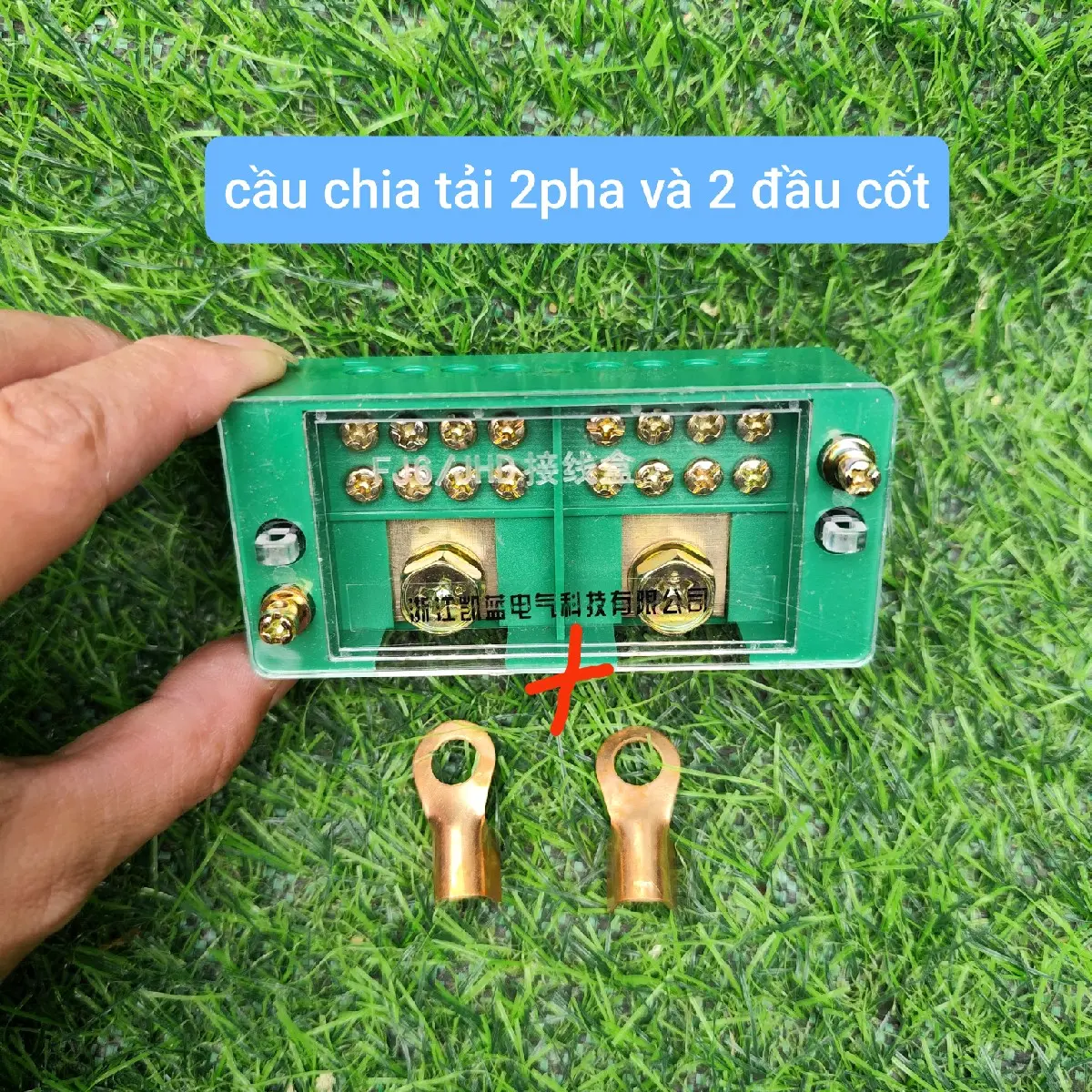 Cầu chia 2p ra 8 chân tải 100A