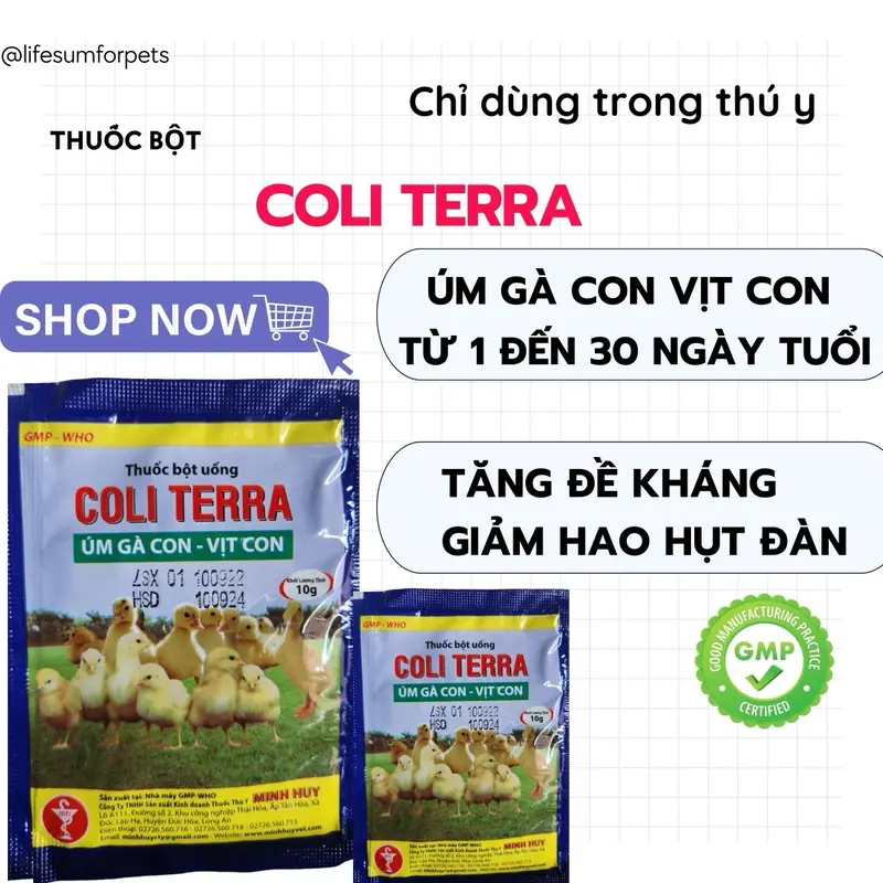 Coli Terra 10g - Úm gà con vịt con giảm hao hụt đàn 0