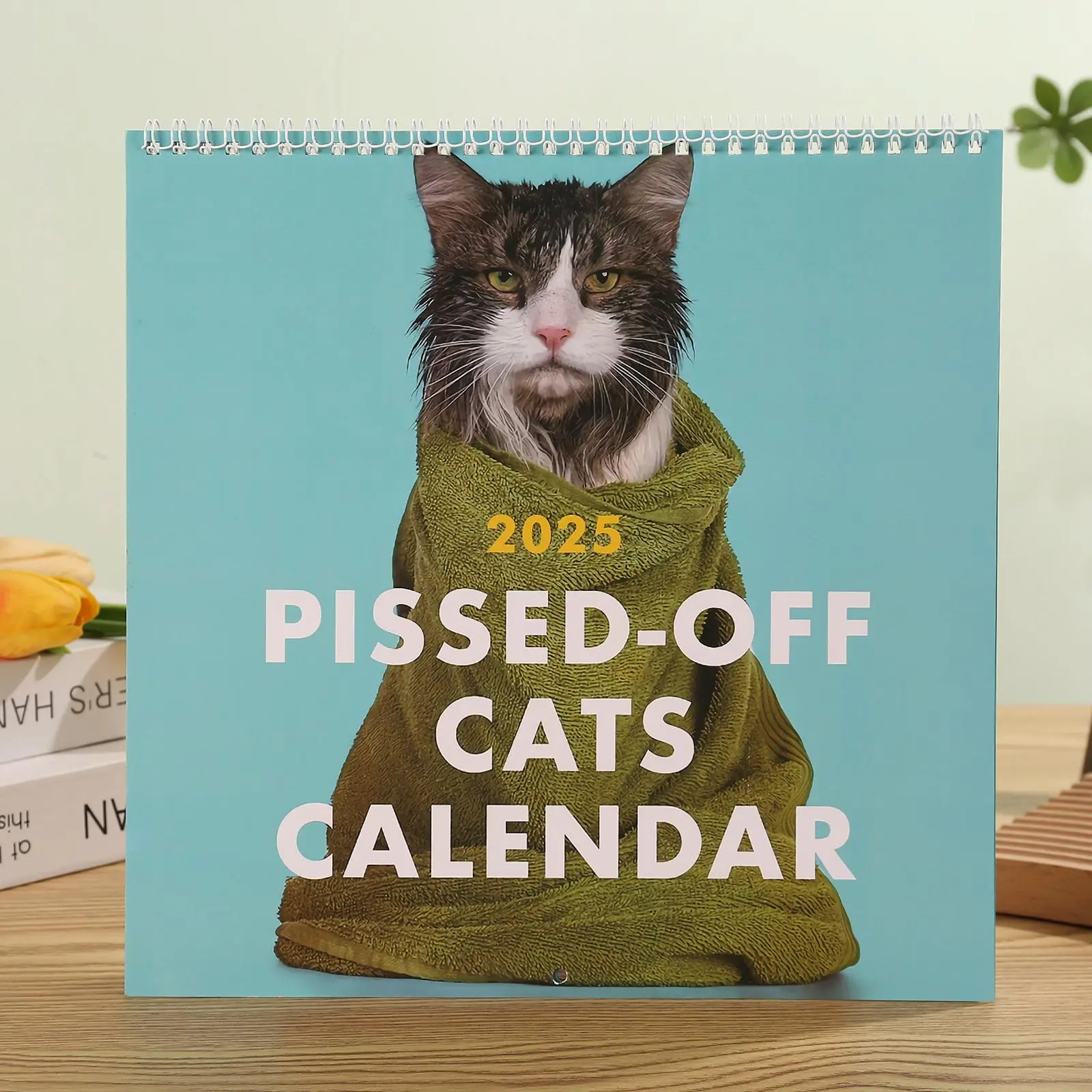 Cute Cat Pattern Wall Calendar, 1/2 Counts Colorful Lovely Cat Pattern Wall Calendar, Wall Calendar for Home Dormitory School Office Decor, Valentine's Day Gift, Home Accessories Decor