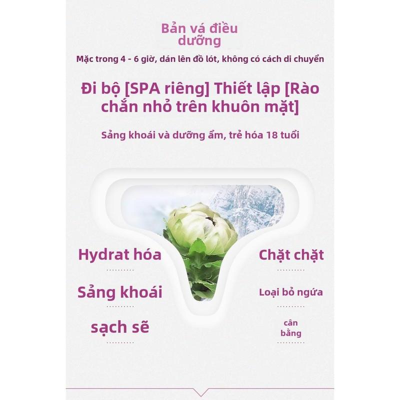[96%Good Comment]Qizhen SaffronSnow Lotus Nursing Pad Snow Lotus Patch Protective Pad Women's Intimate Patch Snow Lotus Patch 6