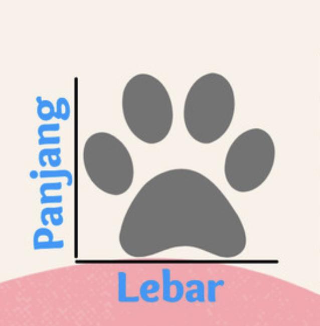 Product Introduction of 4pcs sepatu anjing kucing karet/sepatu hewan kucing anjing /sepatu bot anjing kucing 1