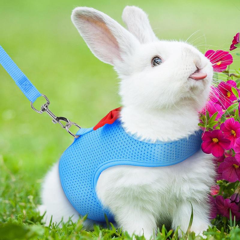 Bow Design Rabbit Harness With Leash, Adjustable Breathable Rabbit Harness, Pet Supplies For Indoor and Outdoor Walking, Small Animal Supplies 7