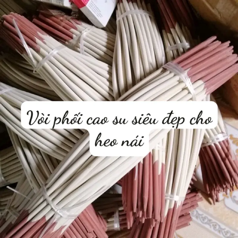 Vòi Phối Cao Su Heo Nái, Ống Dẫn Tinh Heo Cao Su