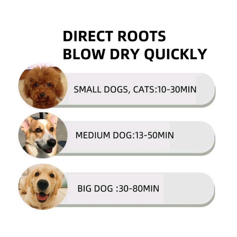 Sisir Pengering Bulu Hewan Anjing Kucing 2 in 1 Pet Grooming Brush Dryer Dog Cat Multifunction 2in1 Electric Pet Grooming Dryer Pet Hair Dryer sisir hewan Dog Cat comb Praktis 3