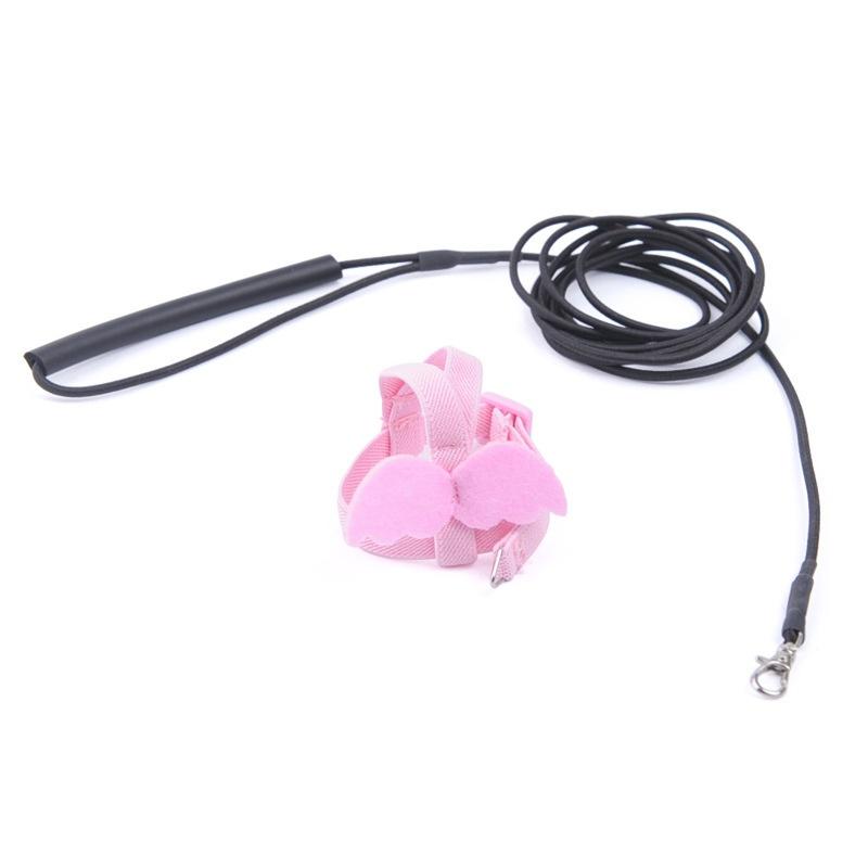 Product Introduction of Adjustable Outdoor Flight Training Rope Belt Parrot Traction Rope 20