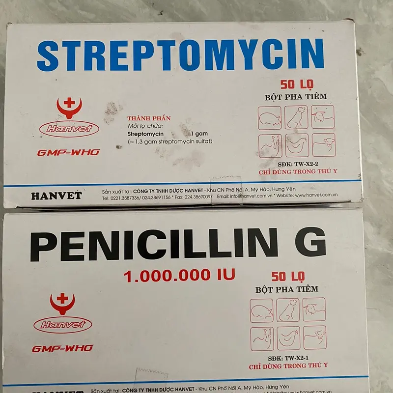 Penicillin G và Streptomycin (lọ 1g) hanvet bột pha tiêm xử lý các bệnh đóng dấu, nhiệt thán, mụn nhọt, áp xe,.. ở gia súc gia cầm 1
