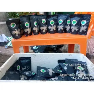 KUCUR RAHMAT RR umpan untuk mancing ikan sungai