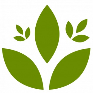 Thế Giới Hạt Và Đậu 2