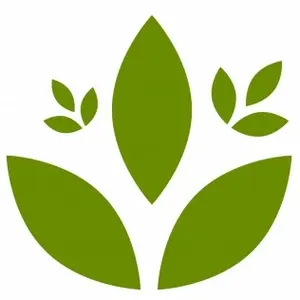 Thế Giới Hạt Và Đậu 2