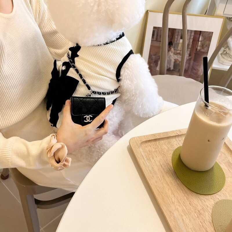 Product Introduction of Cute Bow Black White Lady Skirt Pet Cat Dog Clothes 9