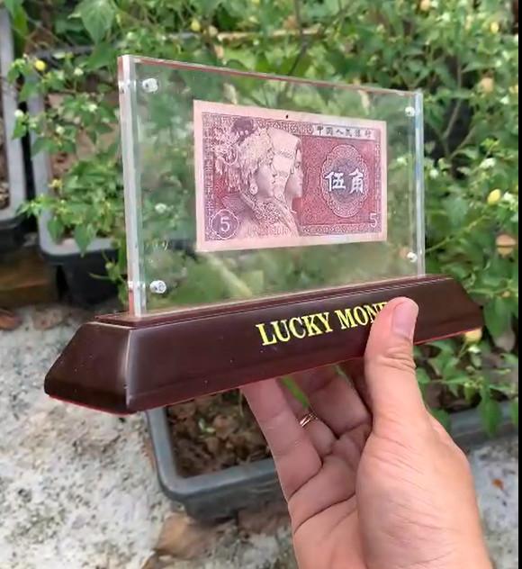 [FREE SHIP + SỈ] Kệ trưng bày tiền lucky money đế gỗ, mặt mica cao cấp nút nam châm. 3