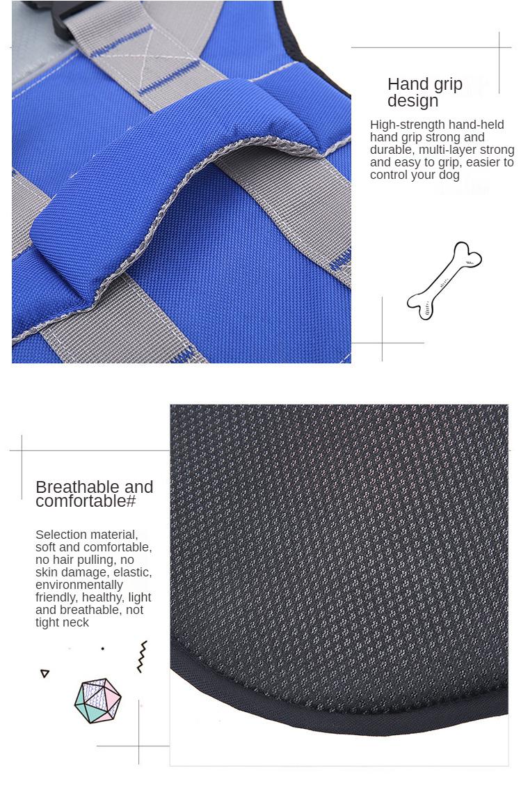 Product Introduction of Pet Life Jacket Safety & Style  Pet Swimsuit Pet Chest Harness Traction Rope  for Water Adventures 5