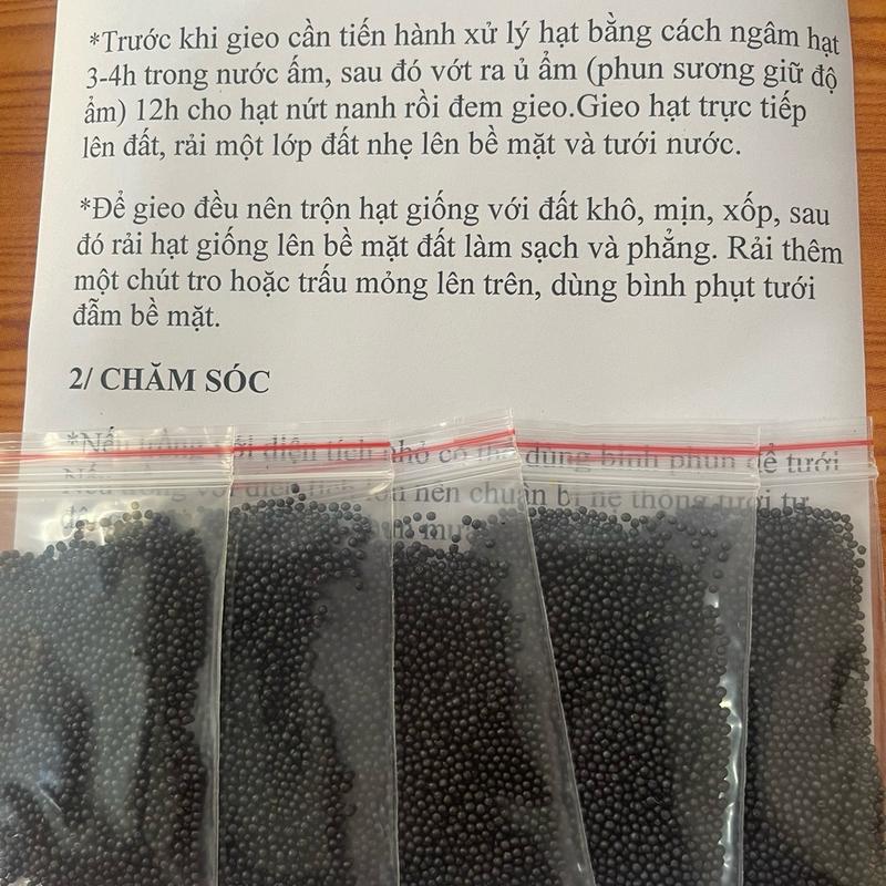  COMBO  F1  10 Gói Hạt Rau CẢI NGỒNG NGỌT Mộc Châu Tây Bắc 