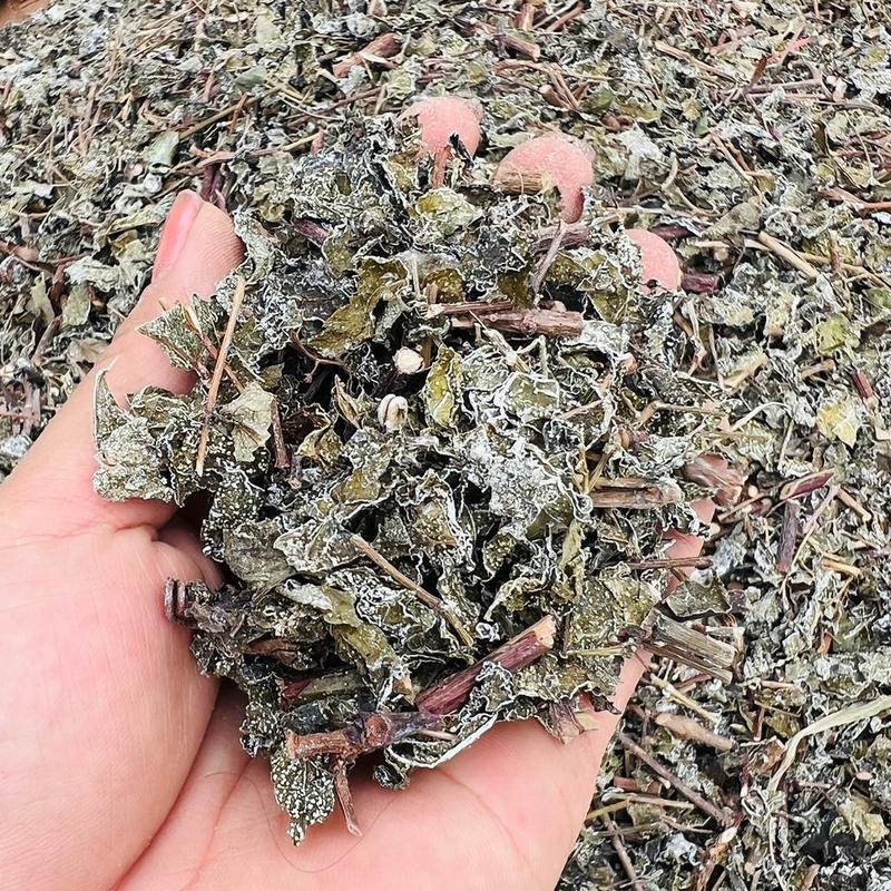 Chè Dây Cao Bằng Loại nhiều lá tuyết trắng Tea 2