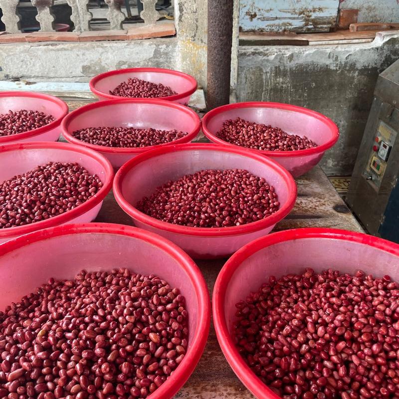 Lạc Rang Húng Lìu Cụ Vân Chính Hiệu Gia Truyền từ năm 1960, Snack Ăn Vặt 3
