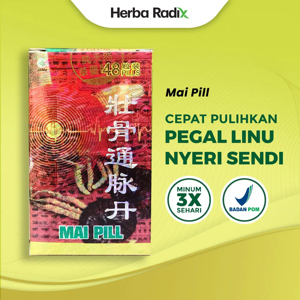 Mai Pill / Zhuang Gu Tong Mai Dan - Obat Herbal Membantu Meredakan Sakit Otot Pinggang / Pegal Linu / Nyeri Sendi | Dang Gui by Herba Radix