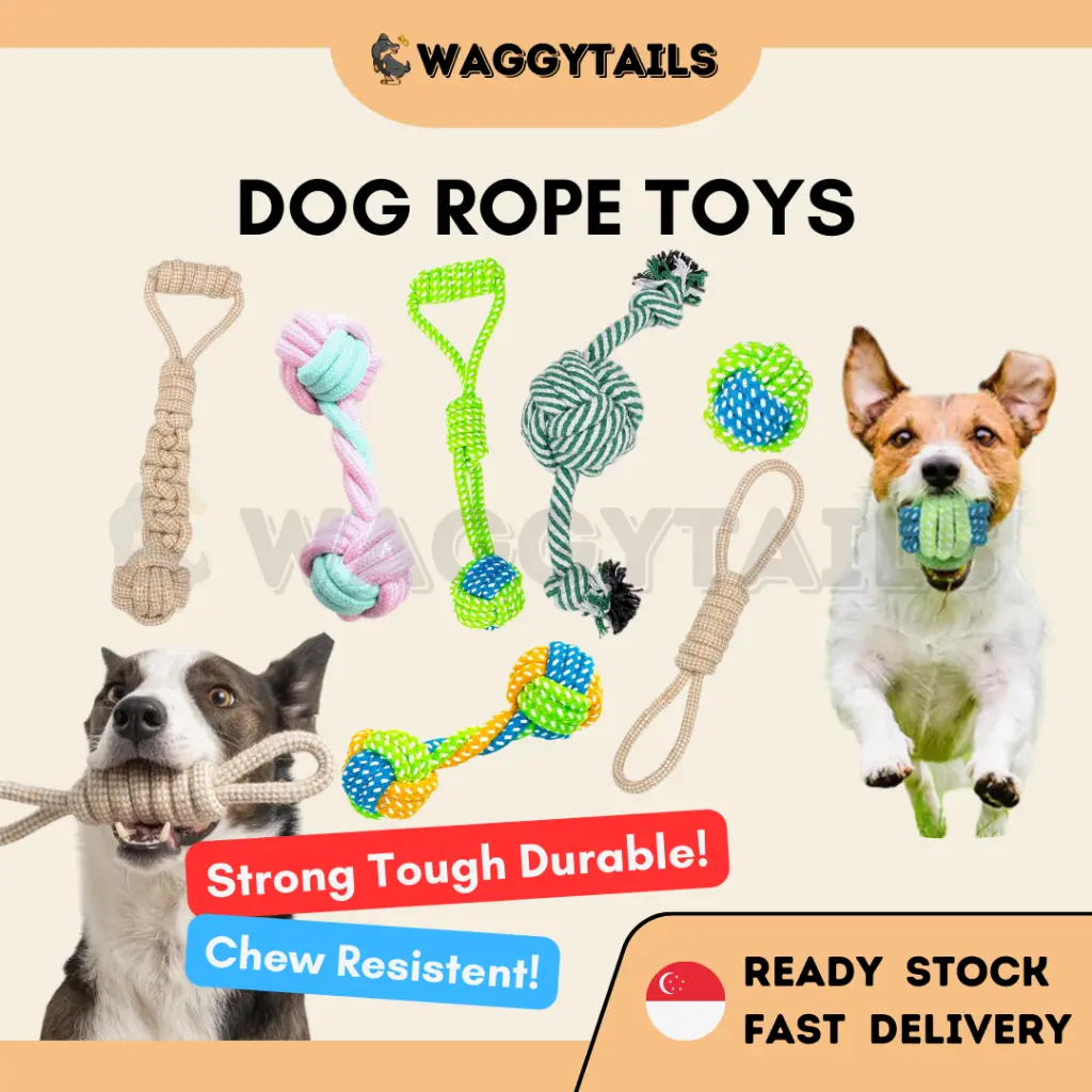 [SG] Dog Toy | Dog Rope Toy | Dog Chew Toy | Teeth Grinding