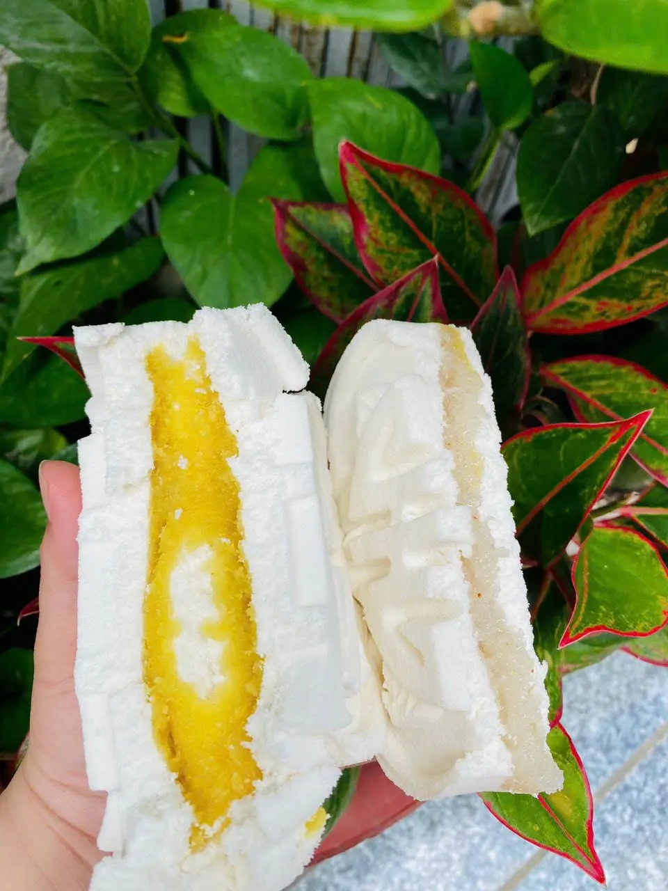 Combo 10 và combo 5 BÁNH IN (HSD 20 NGÀY) NHÂN DỪA VÀ ĐẬU XANH THƠM NGON NHÀ NGUYỆT. Cake