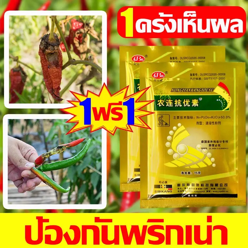 มีประสิทธิภาพในการป้องกันพริกเน่า การป้องกัน + รักษาโรคพืช ยาป้องกันโรคใช้สำหรับควบคุมการเน่า สนิม เชื้อรา การฉีดกุ้งแห้ง ป้องกันการเน่าเสียของพริก ป้องกันการเน่าเสียของพริก