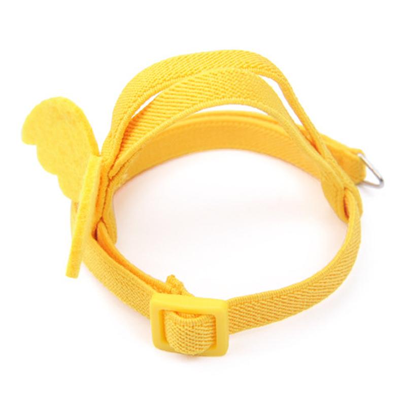 Product Introduction of Adjustable Outdoor Flight Training Rope Belt Parrot Traction Rope 25